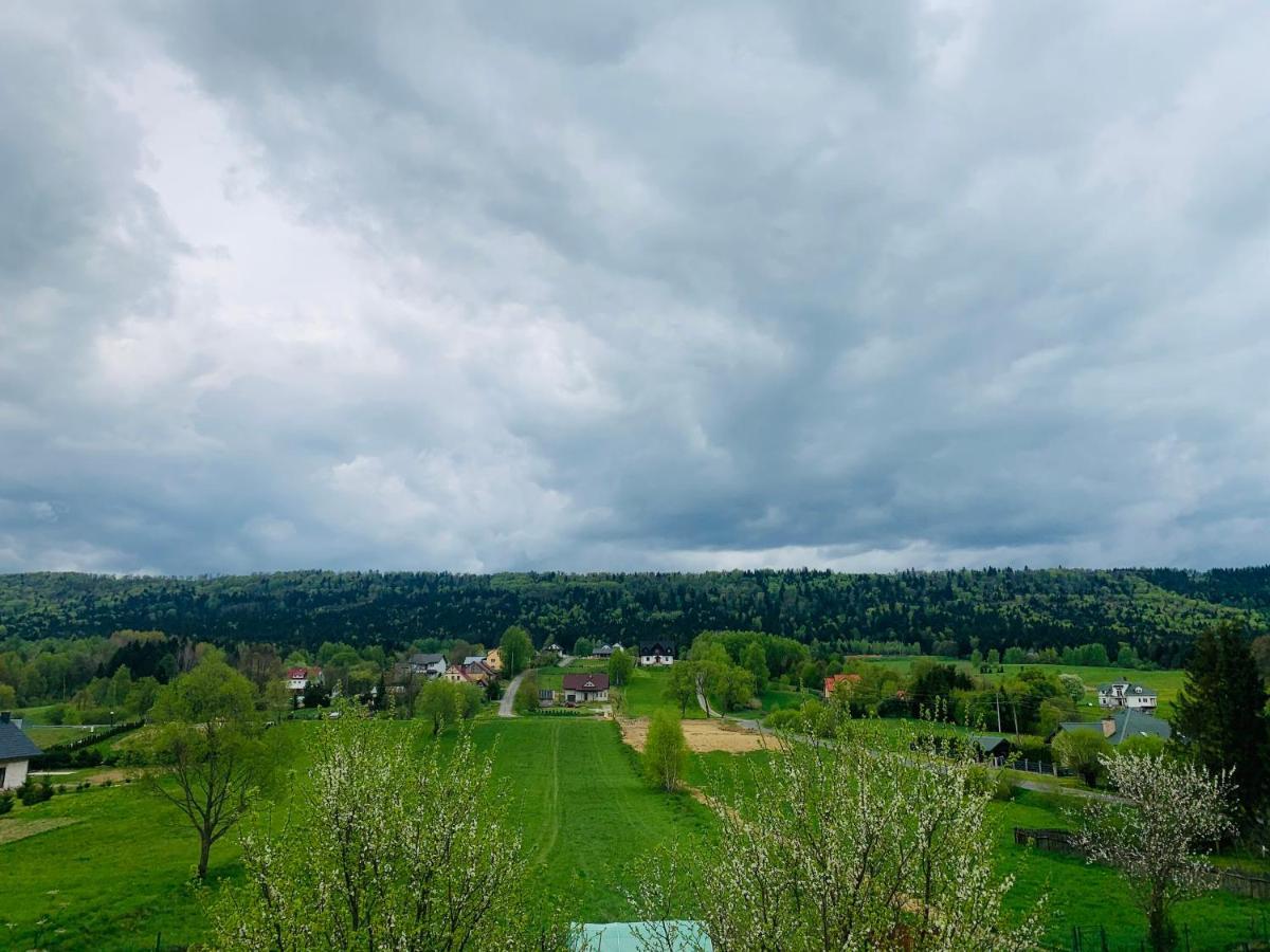 Apartamenty Równia 2 Ustrzyki Dolne Exterior foto